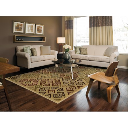 ASTON 537W9 1'10" X  7' 6" Area Rug