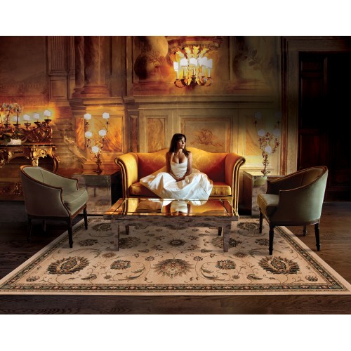 KNIGHTSBRIDGE 117J5 2' 2" X  4' 5" Area Rug