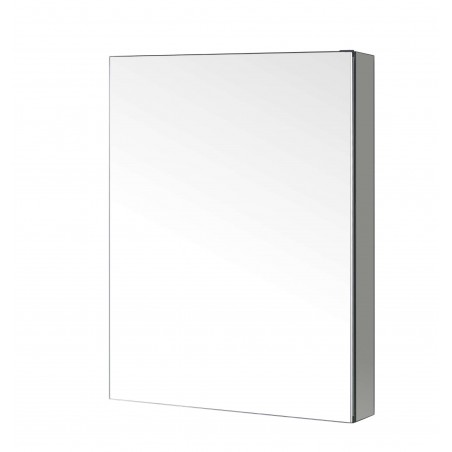 Confiant 20"  Mirrored Medicine Cabinet Recessed or Surface Mount