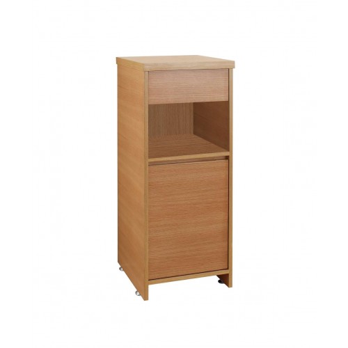 Raynard 16" Modern Side Cabinet in Chestnut