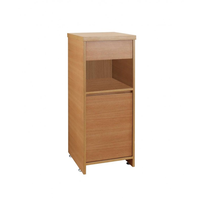 Raynard 16" Modern Side Cabinet in Chestnut