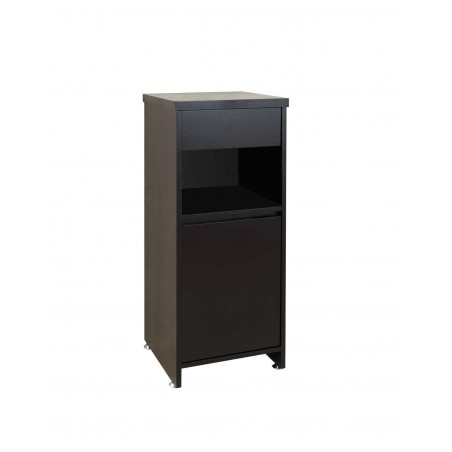 Raynard 16" Modern Side Cabinet in Espresso