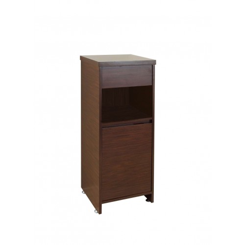 Raynard 16" Modern Side Cabinet in Walnut