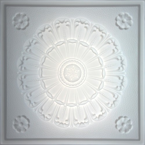 "Medallion  24"" x 24"" Translucent Ceiling Tiles"