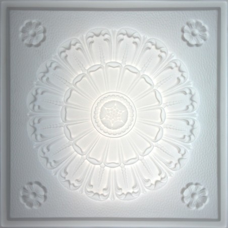 "Medallion  24"" x 24"" Translucent Ceiling Tiles"