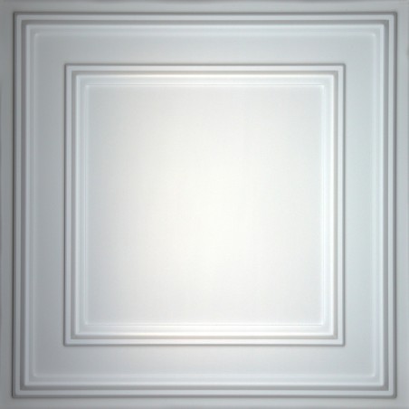 "Stratford  24"" x 24"" Translucent Ceiling Tiles"