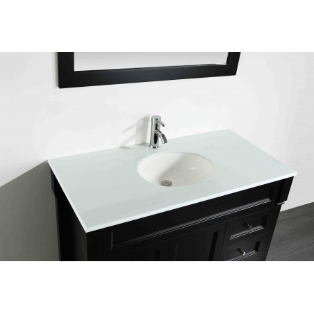 43'' Bosconi SB-278BPS Contemporary Single Vanity