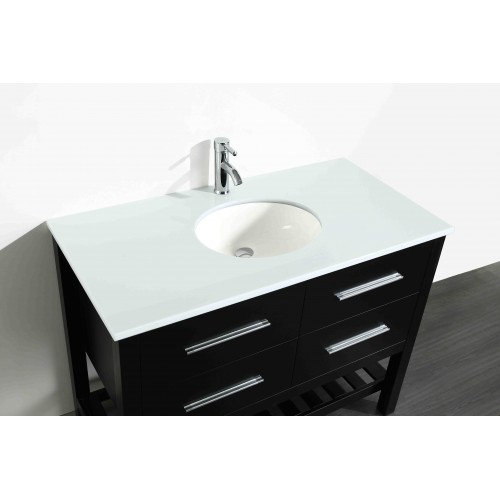 43'' Bosconi SB-250-6BPS Contemporary Single Vanity