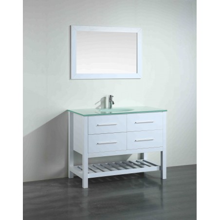 43'' Bosconi SB-250-6WHCWG Contemporary Single Vanity