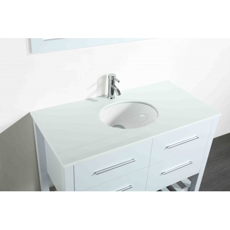 43'' Bosconi SB-250-6WHPS Contemporary Single Vanity