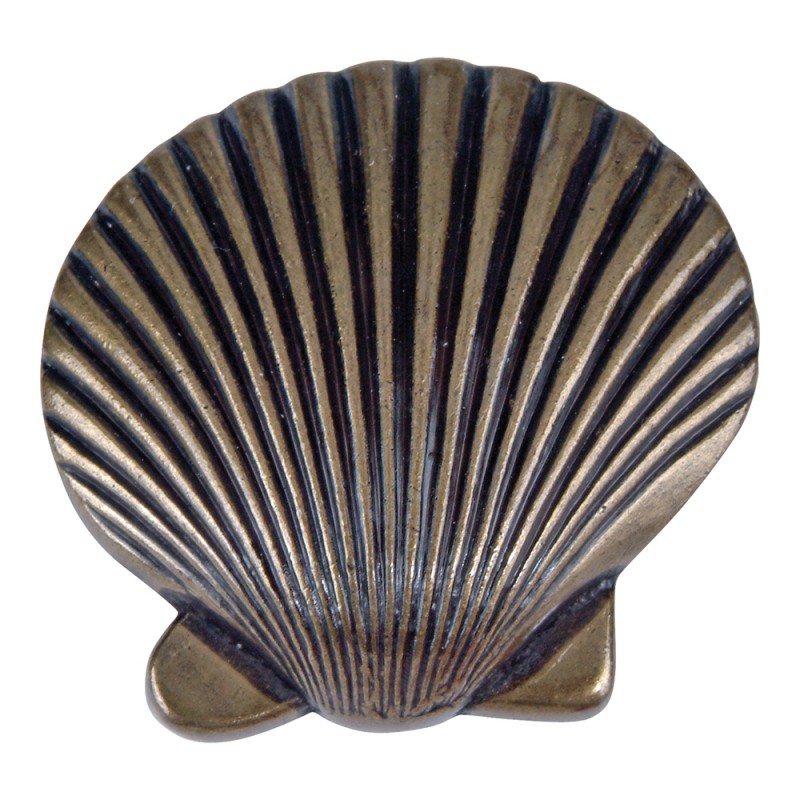 Clamshell Knob - Burnished Bronze